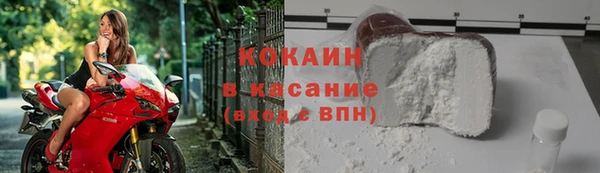 хмурый Аркадак