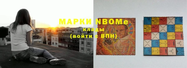 хмурый Аркадак