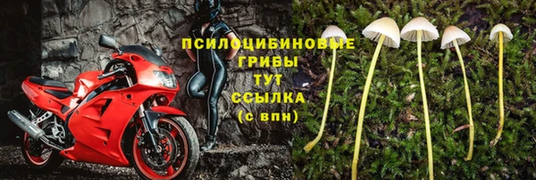 кокс Армянск