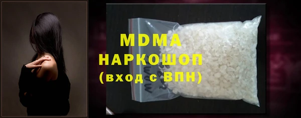 хмурый Аркадак