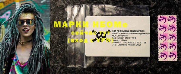 хмурый Аркадак