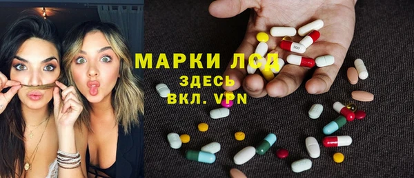 хмурый Аркадак