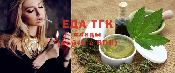хмурый Аркадак
