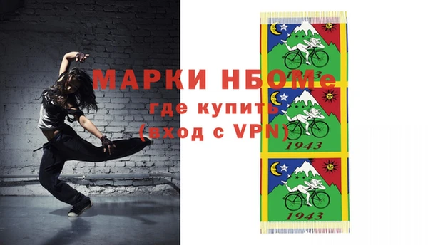 хмурый Аркадак