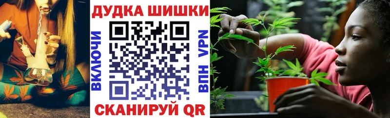 Бошки Шишки VHQ  Будённовск 
